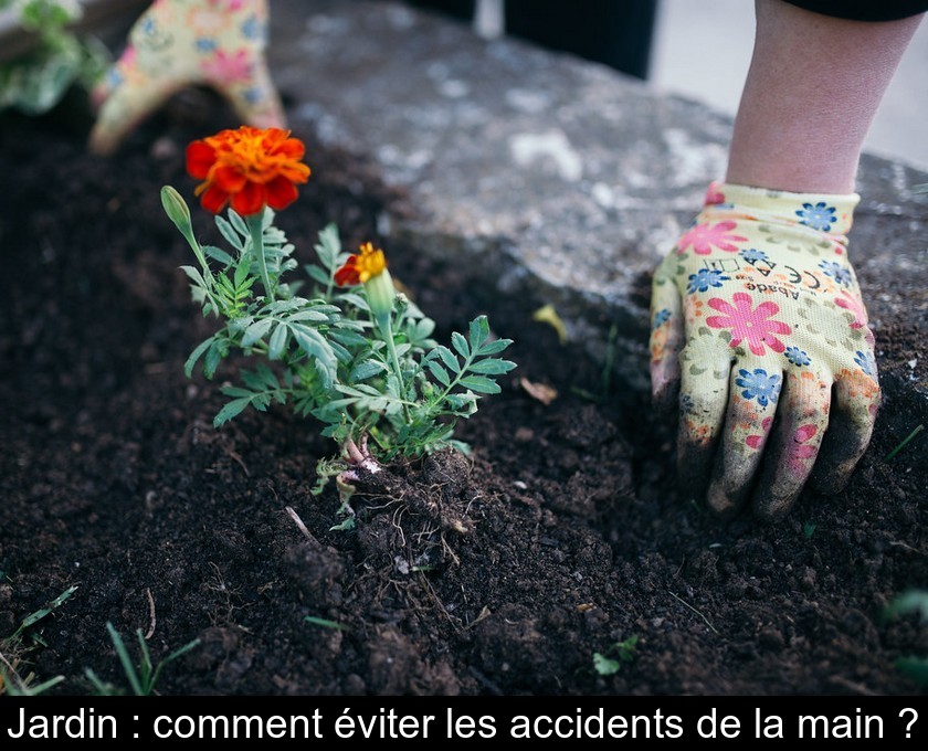 Jardin : comment éviter les accidents de la main ?