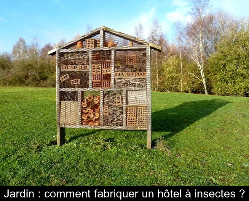Jardin : comment fabriquer un hôtel à insectes ?