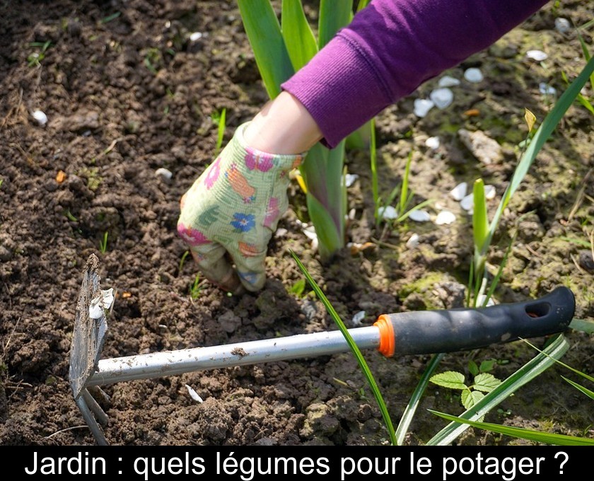 Jardin : quels légumes pour le potager ?