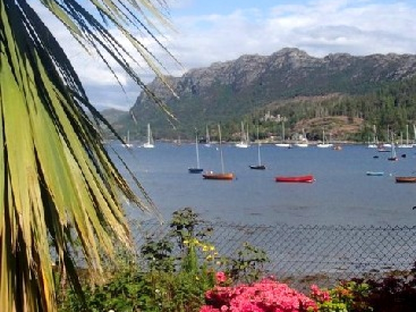 Jardin de bord de mer : quelles plantes choisir ? Jardin de bord de mer : quelles plantes choisir ?