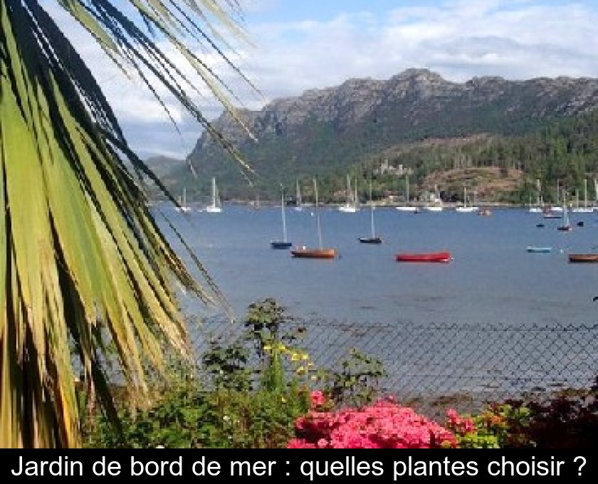 Jardin de bord de mer : quelles plantes choisir ? Jardin de bord de mer : quelles plantes choisir ?