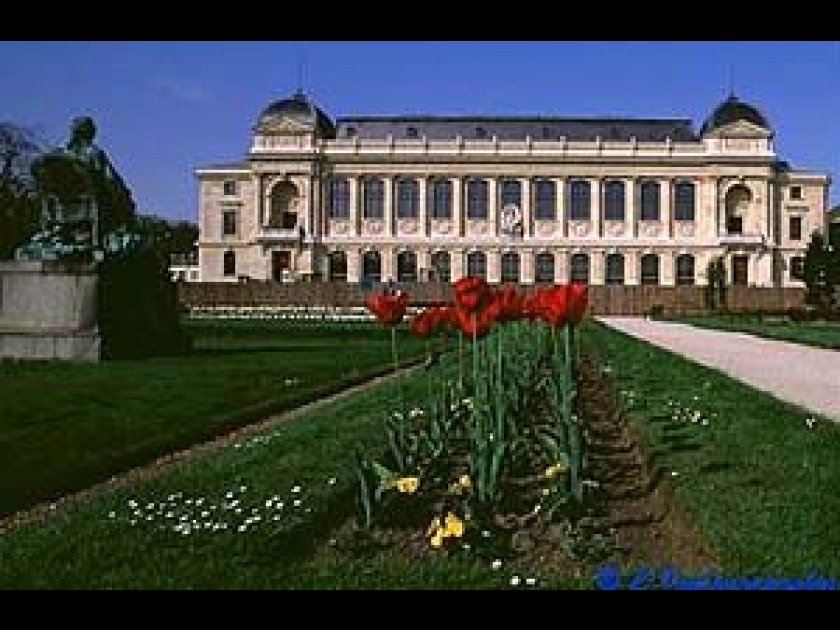 Jardin des plantes Paris Jardin des plantes Paris