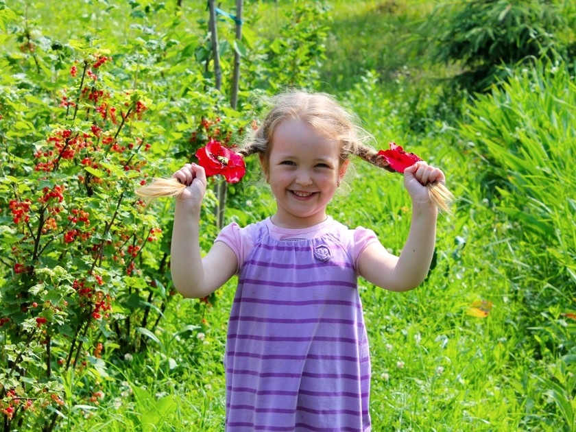 Jardinage : 5 alternatives au glyphosate Jardinage : 5 alternatives au glyphosate
