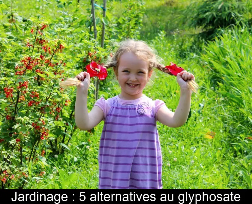 Jardinage : 5 alternatives au glyphosate