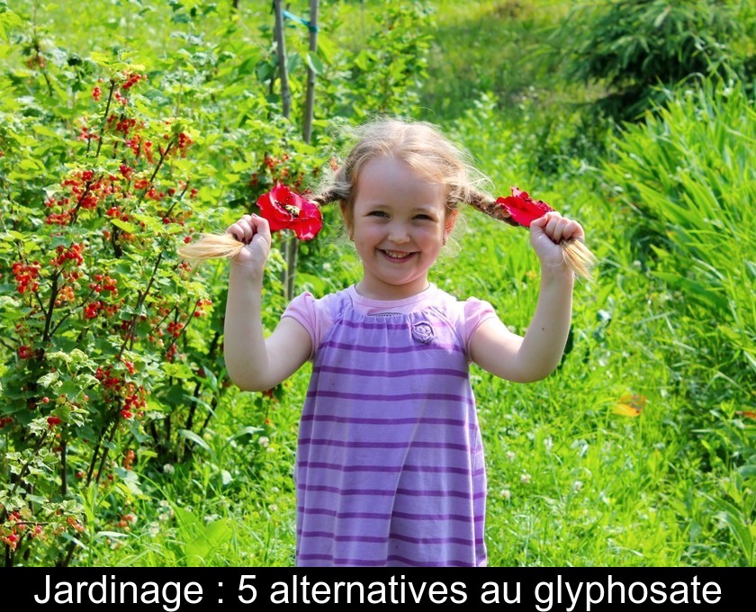 Jardinage : 5 alternatives au glyphosate Jardinage : 5 alternatives au glyphosate