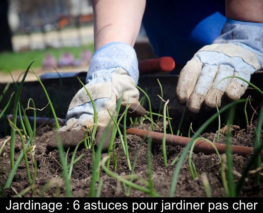 Jardinage : 6 astuces pour jardiner pas cher Jardinage : 6 astuces pour jardiner pas cher