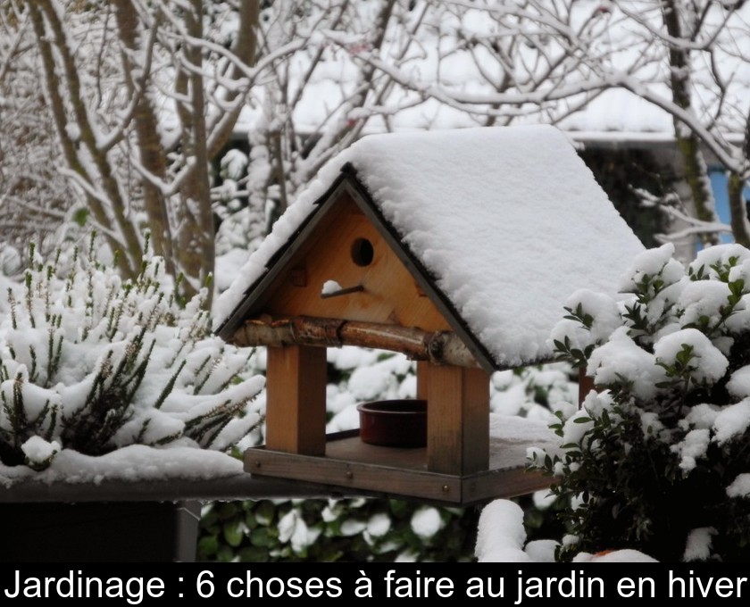 Jardinage : 6 choses à faire au jardin en hiver Jardinage : 6 choses à faire au jardin en hiver
