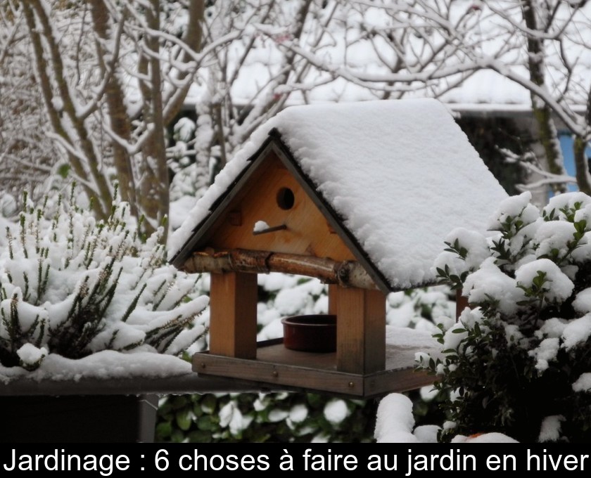 jardinage hiver