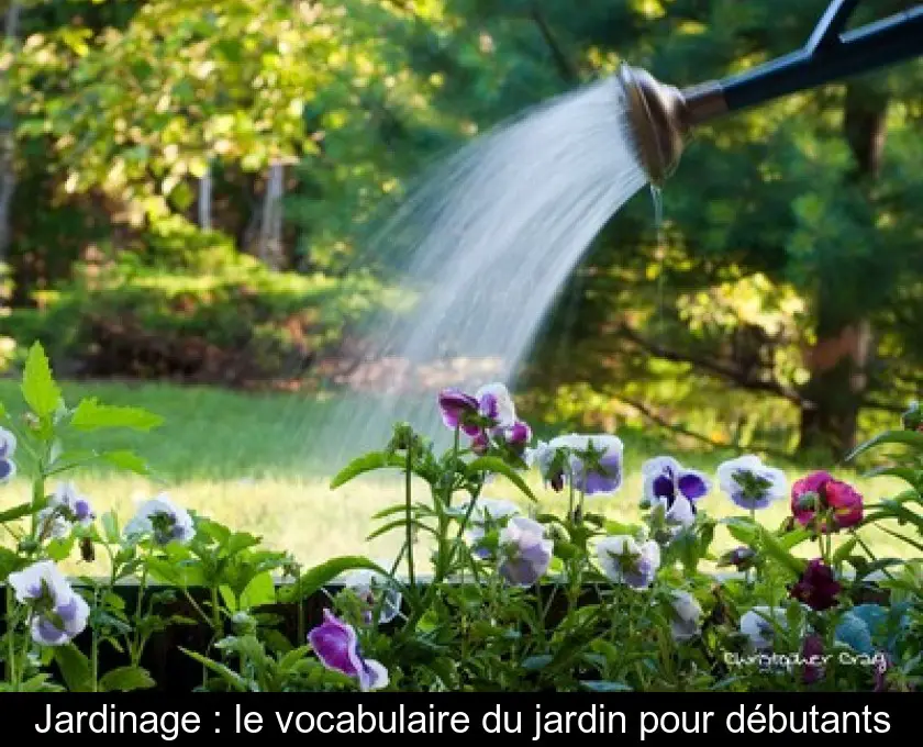Jardinage : le vocabulaire du jardin pour débutants