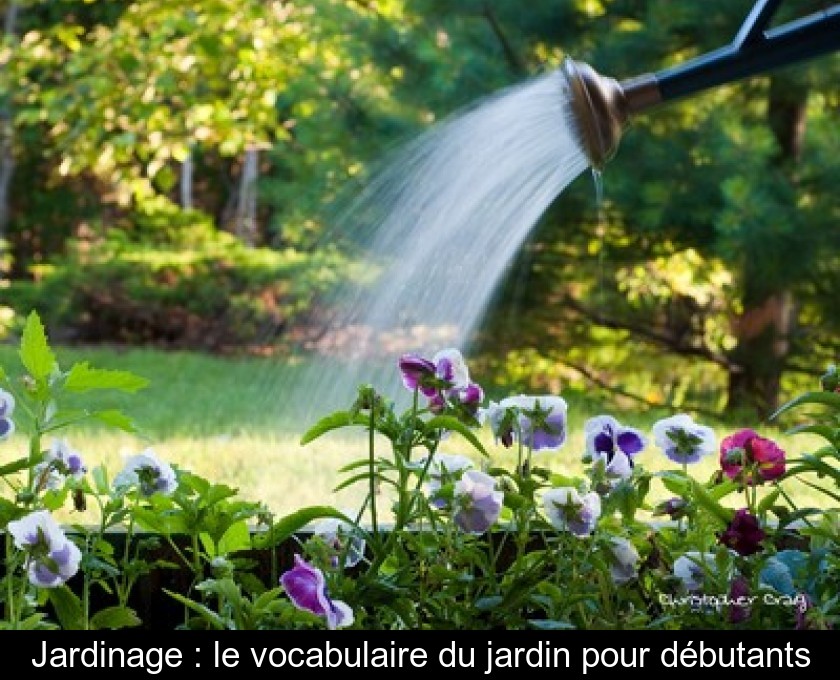 Jardinage : le vocabulaire du jardin pour débutants Jardinage : le vocabulaire du jardin pour débutants
