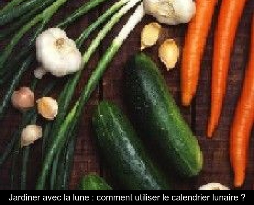 Jardiner avec la lune : comment utiliser le calendrier lunaire ? Jardiner avec la lune : comment utiliser le calendrier lunaire ?