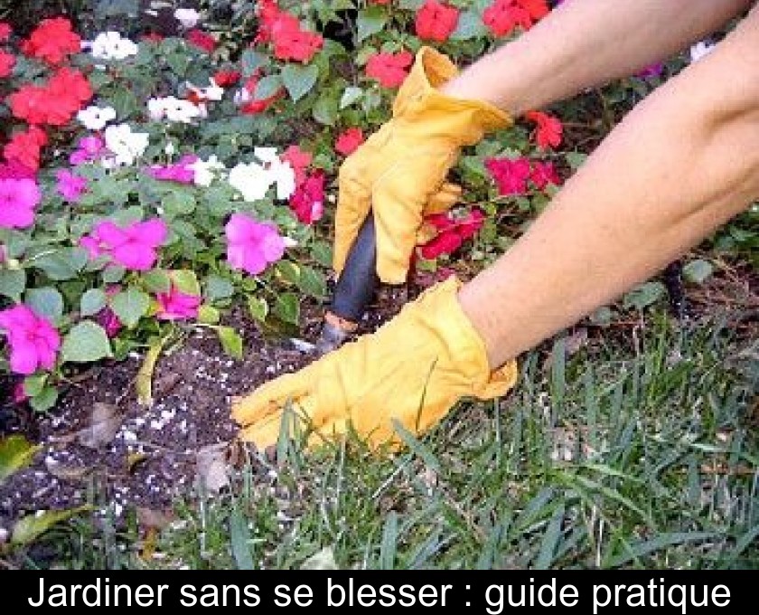 Jardiner sans se blesser : guide pratique Jardiner sans se blesser : guide pratique
