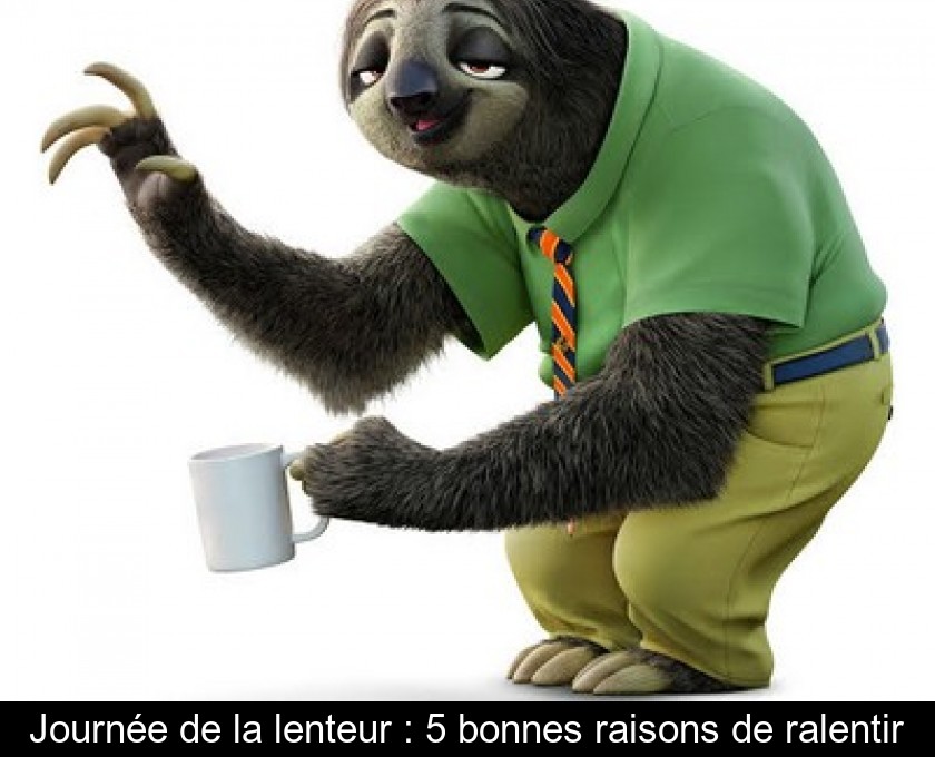 Journée de la lenteur : 5 bonnes raisons de ralentir Journée de la lenteur : 5 bonnes raisons de ralentir