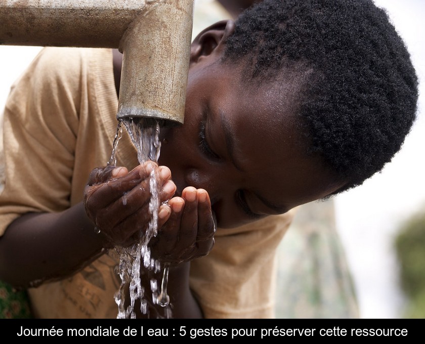 Journée mondiale de l'eau : 5 gestes pour préserver cette ressource