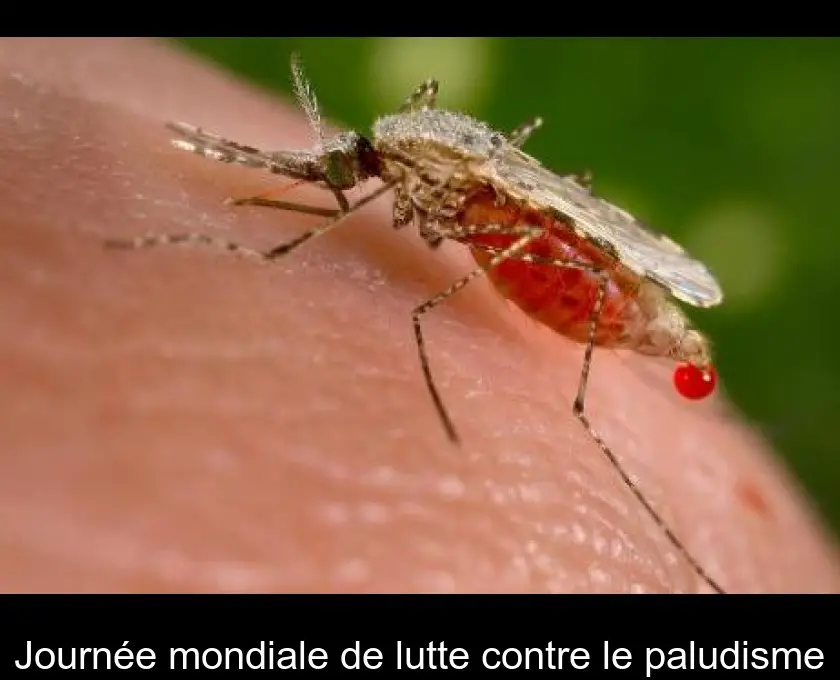 Journée mondiale de lutte contre le paludisme