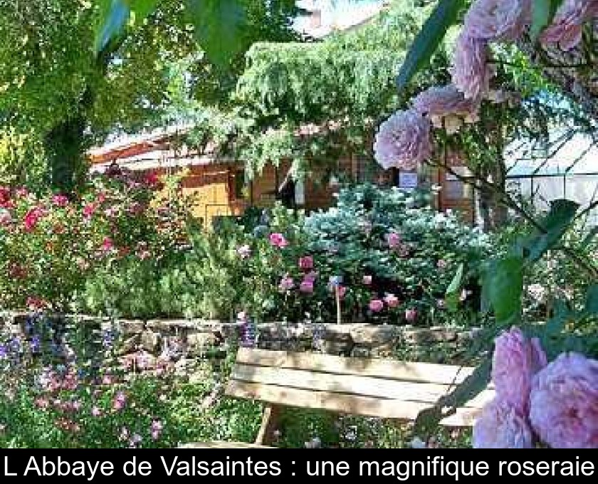 L'Abbaye de Valsaintes : une magnifique roseraie