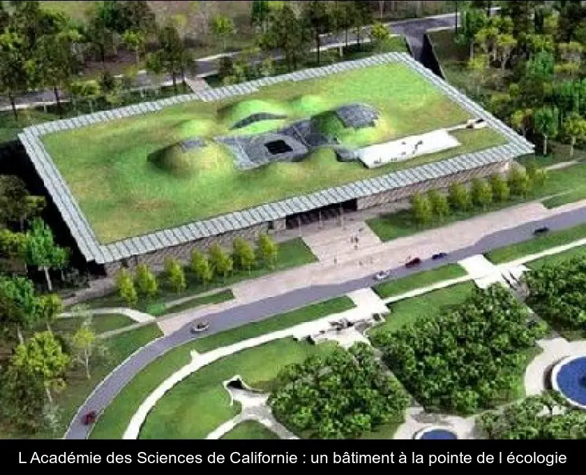 L'Académie des Sciences de Californie : un bâtiment à la pointe de l'écologie