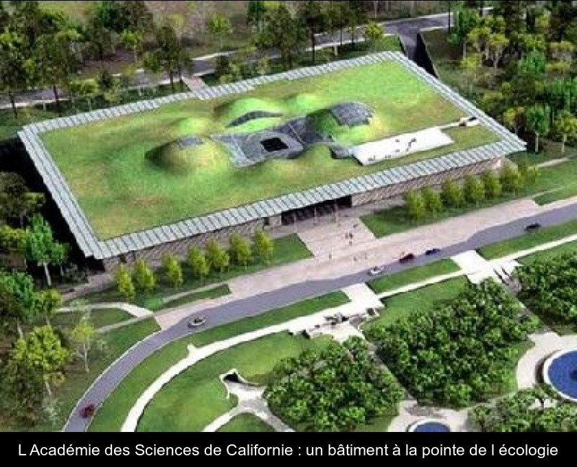 L'Académie des Sciences de Californie : un bâtiment à la pointe de l'écologie L'Académie des Sciences de Californie : un bâtiment à la pointe de l'écologie