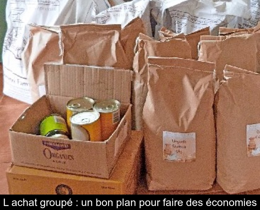 L'achat groupé : un bon plan pour faire des économies L'achat groupé : un bon plan pour faire des économies