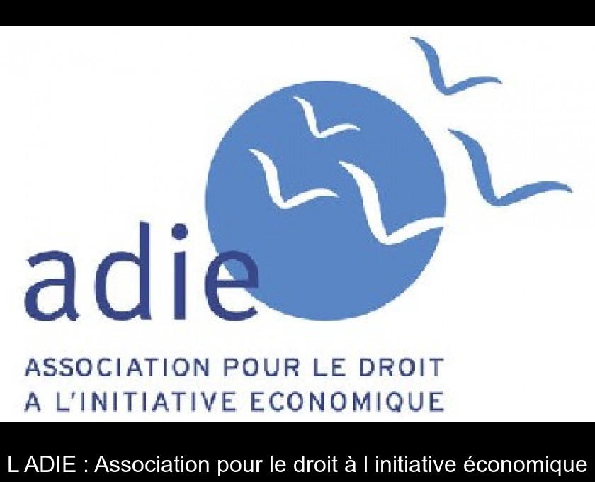 L'ADIE : Association pour le droit à l'initiative économique L'ADIE : Association pour le droit à l'initiative économique