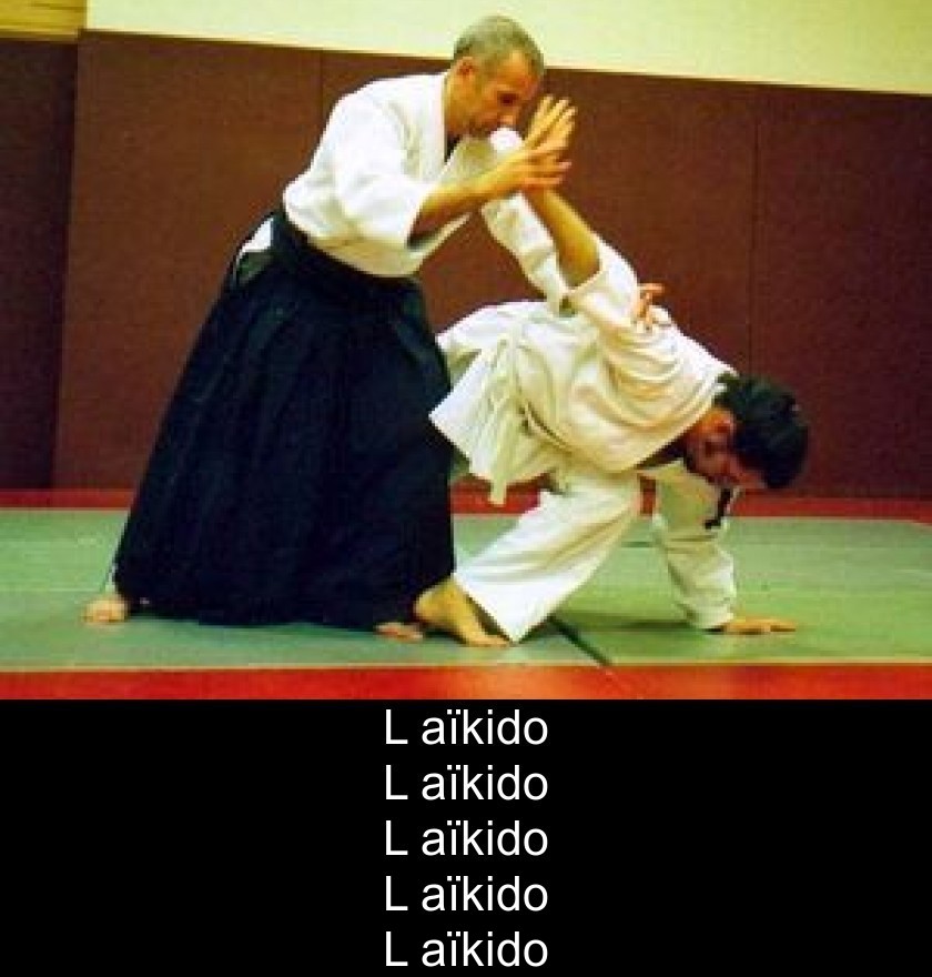 L'aïkido L'aïkido