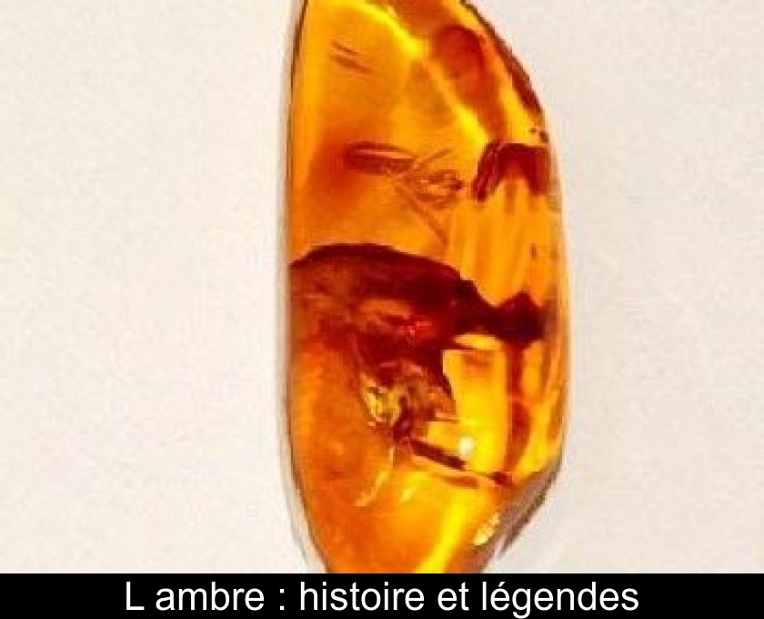L'ambre : histoire et légendes L'ambre : histoire et légendes