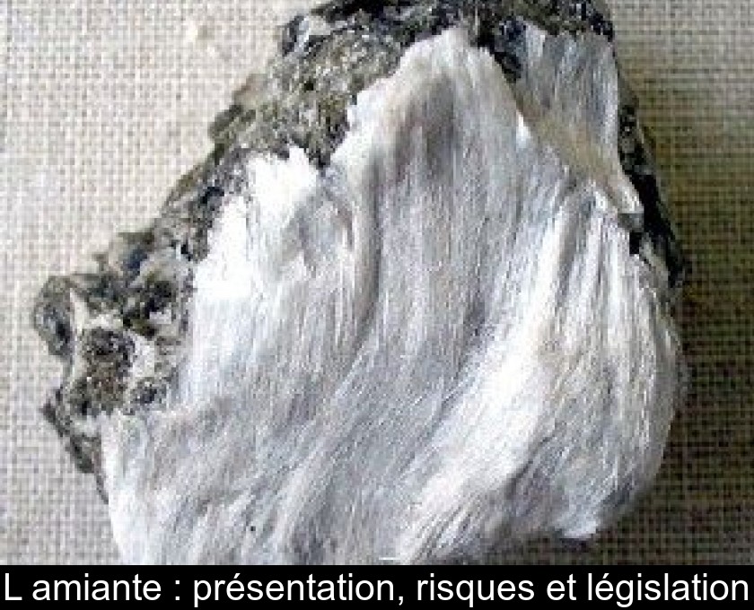 L'amiante : présentation, risques et législation L'amiante : présentation, risques et législation