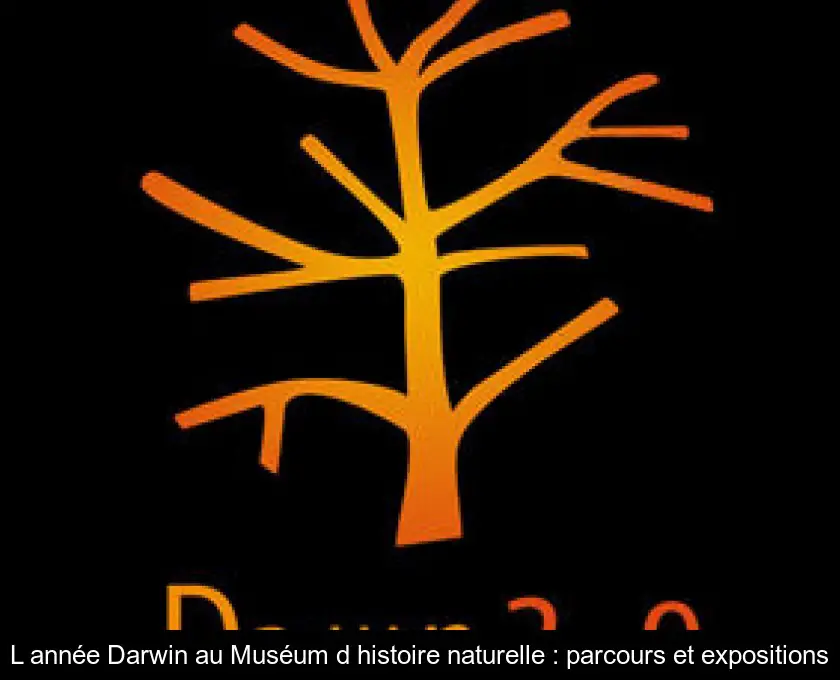 L'année Darwin au Muséum d'histoire naturelle : parcours et expositions