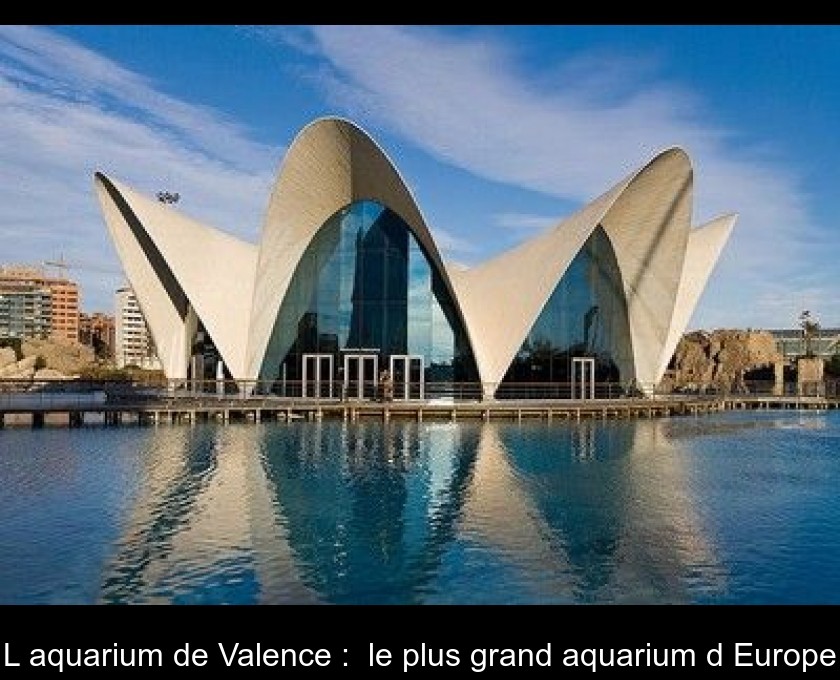L'aquarium de Valence : le plus grand aquarium d'Europe L'aquarium de Valence : le plus grand aquarium d'Europe