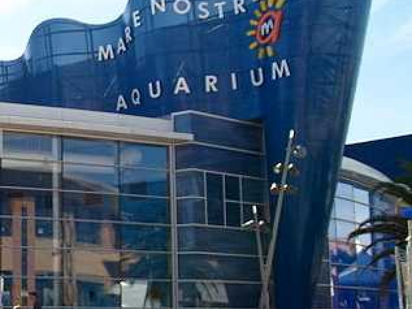 L'aquarium Mare Nostrum : une visite ludique à Montpellier L'aquarium Mare Nostrum : une visite ludique à Montpellier