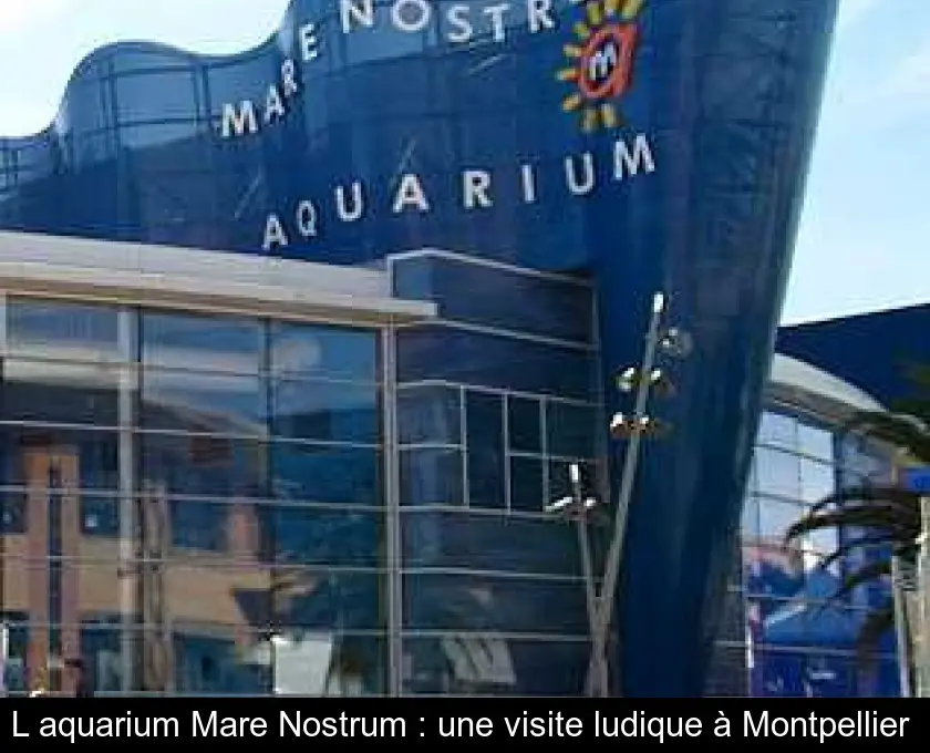 L'aquarium Mare Nostrum : une visite ludique à Montpellier 