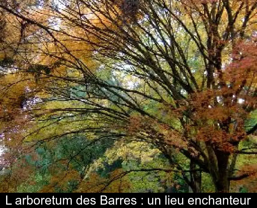L'arboretum des Barres : un lieu enchanteur