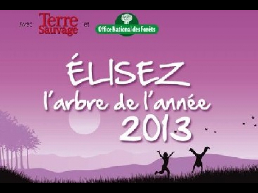 L'Arbre de l'année 2013 : une expo photo sur les quais de Seine L'Arbre de l'année 2013 : une expo photo sur les quais de Seine