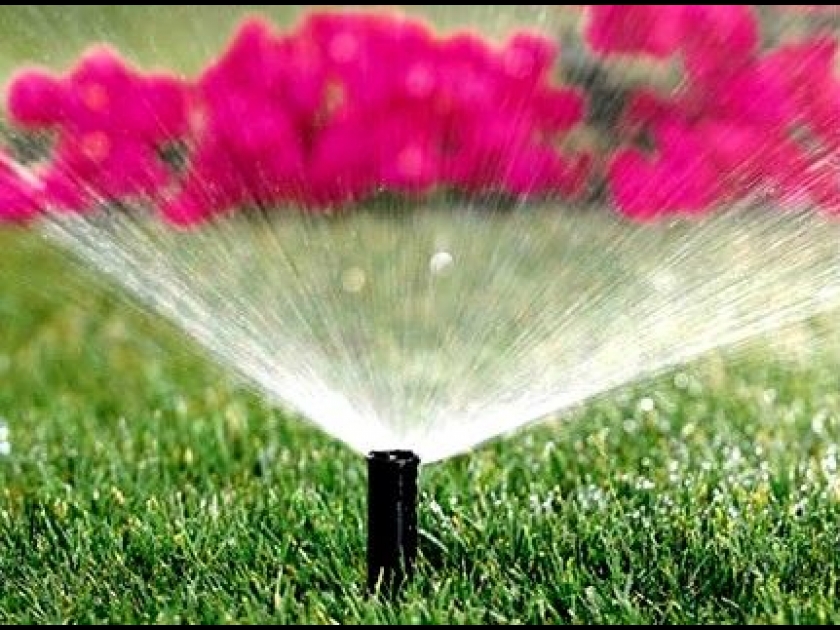 L'arrosage automatique au jardin : que choisir ? L'arrosage automatique au jardin : que choisir ?
