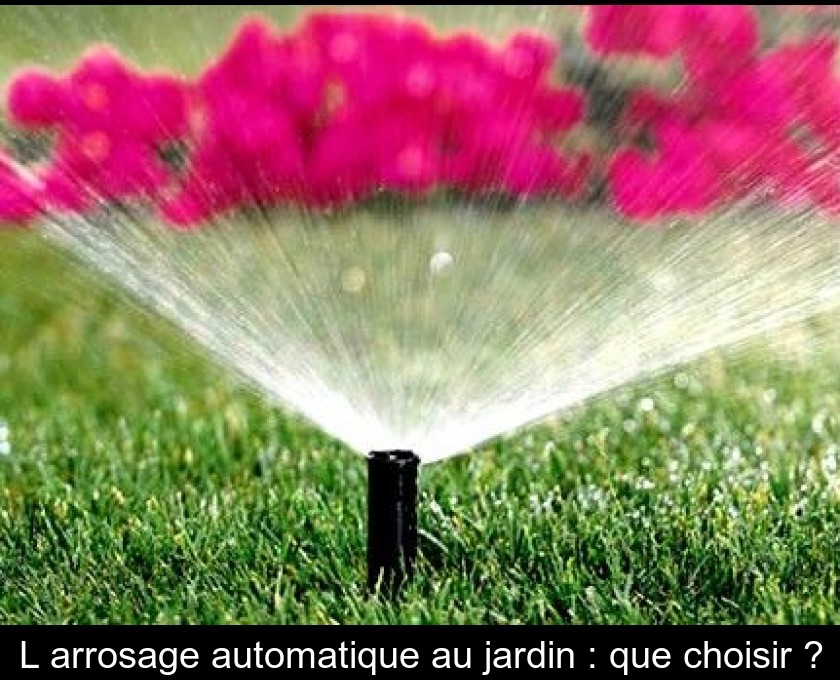 L'arrosage automatique au jardin : que choisir ?