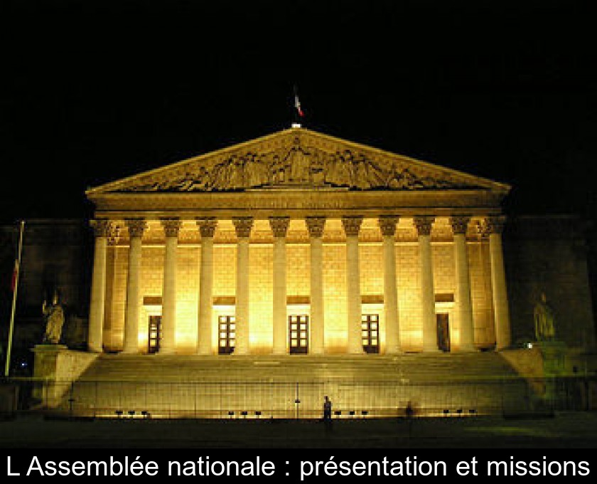 L'Assemblée nationale : présentation et missions L'Assemblée nationale : présentation et missions