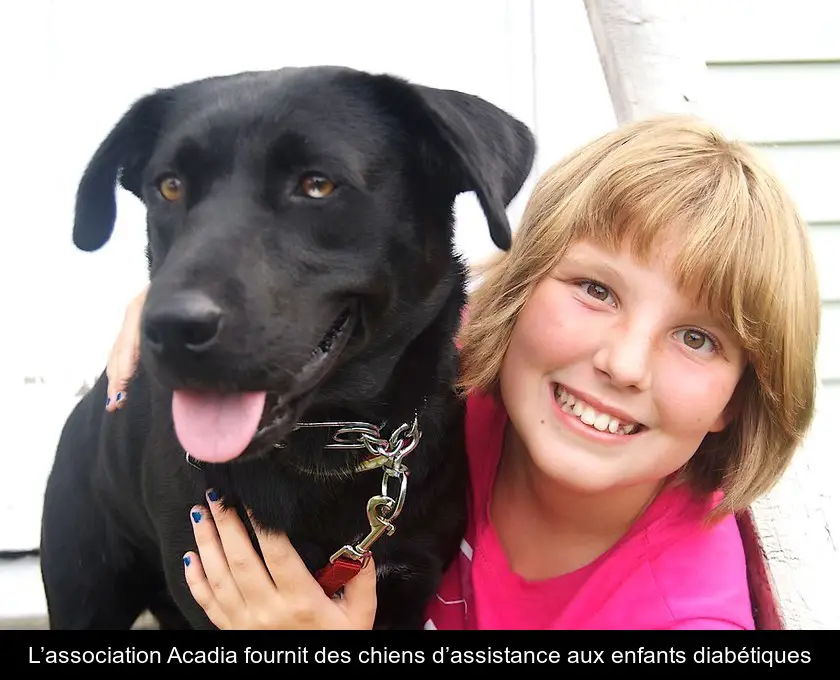 L’association Acadia fournit des chiens d’assistance aux enfants diabétiques