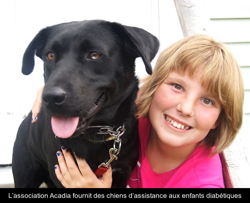 L’association Acadia fournit des chiens d’assistance aux enfants diabétiques L’association Acadia fournit des chiens d’assistance aux enfants diabétiques