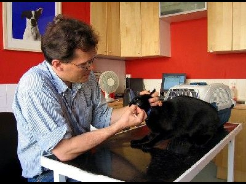 L'assurance pour animaux : mode d'emploi L'assurance pour animaux : mode d'emploi