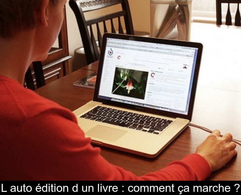 L'auto édition d'un livre : comment ça marche ? L'auto édition d'un livre : comment ça marche ?