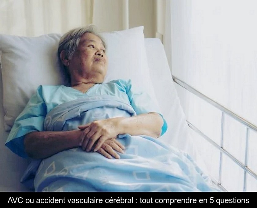 L'AVC ou accident vasculaire cérébral : présentation et symptômes L'AVC ou accident vasculaire cérébral : présentation et symptômes