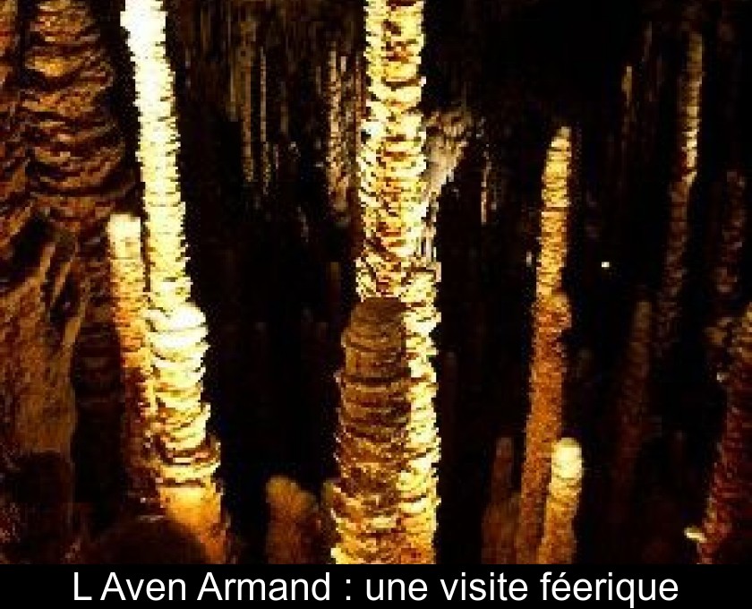 L'Aven Armand : une visite féerique L'Aven Armand : une visite féerique