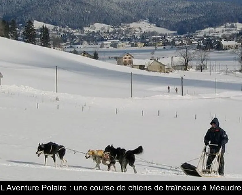 L'Aventure Polaire : une course de chiens de traîneaux à Méaudre