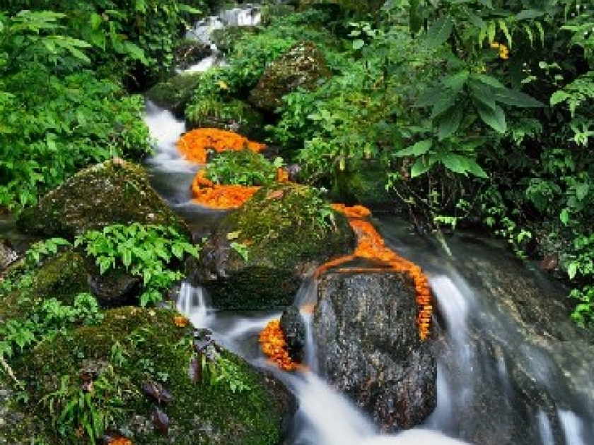 L'Eau, trésor de l'Himalaya : un voyage au fil de l'eau L'Eau, trésor de l'Himalaya : un voyage au fil de l'eau