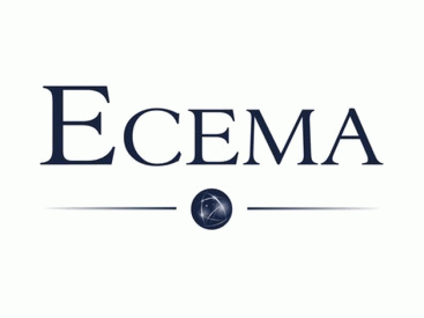 L'ECEMA : une école de management à Lyon L'ECEMA : une école de management à Lyon