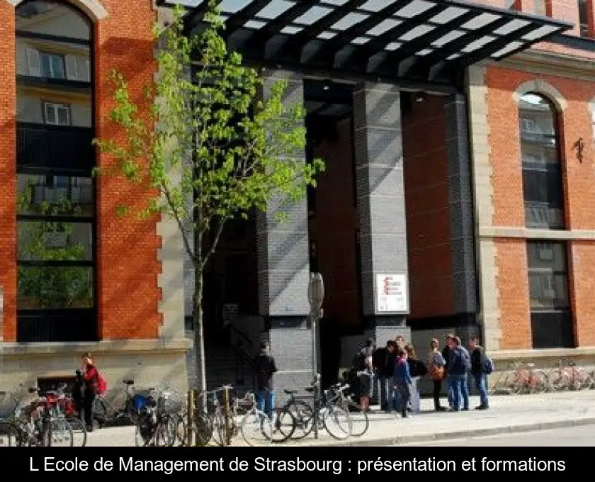 L'Ecole de Management de Strasbourg : présentation et formations
