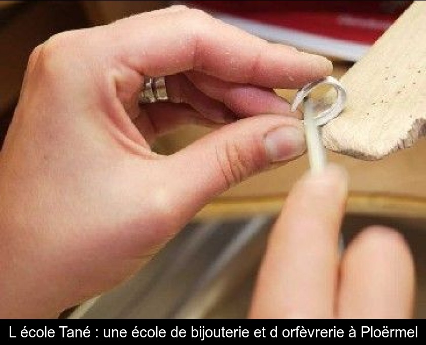L'école Tané : une école de bijouterie et d'orfèvrerie à Ploërmel L'école Tané : une école de bijouterie et d'orfèvrerie à Ploërmel