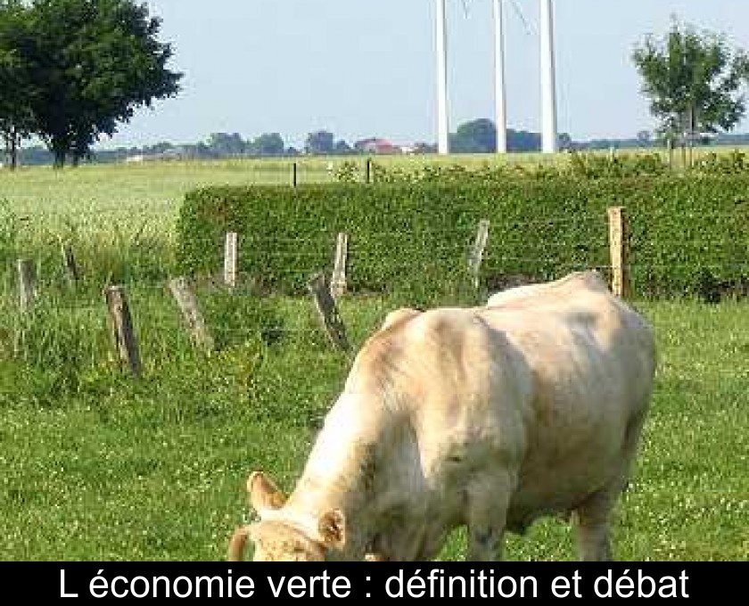 L'économie verte : définition et débat L'économie verte : définition et débat
