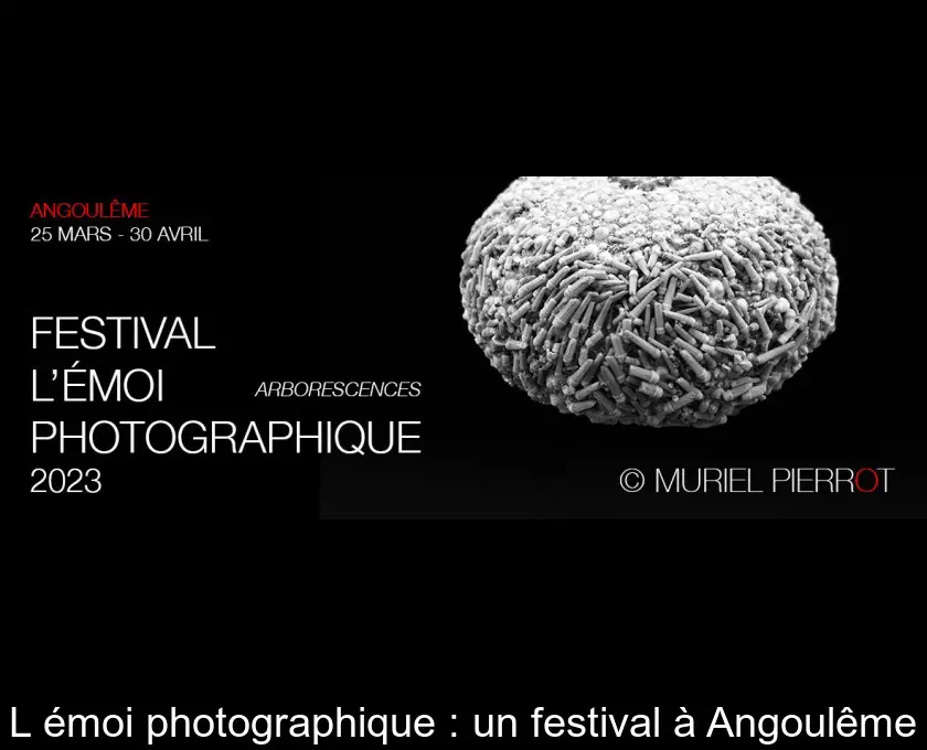 L'émoi photographique : un festival à Angoulême