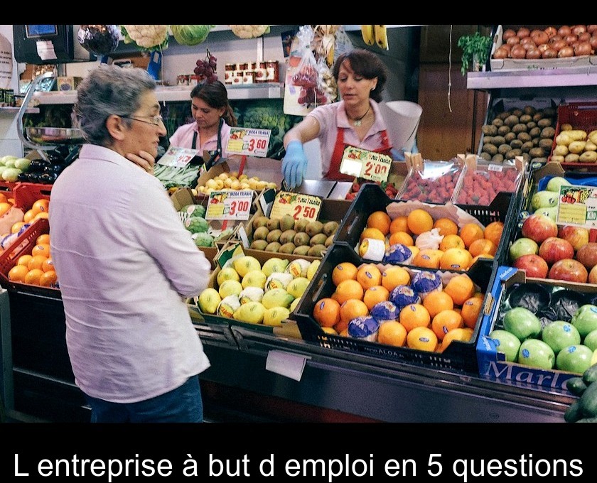 L'entreprise à but d'emploi en 5 questions L'entreprise à but d'emploi en 5 questions